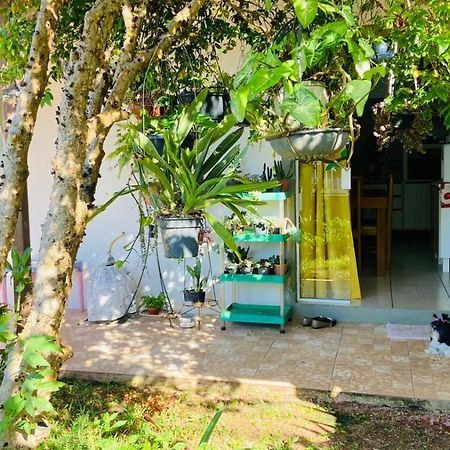 فيلا بومبينهاسفي Para Desfutar Com A Familia المظهر الخارجي الصورة